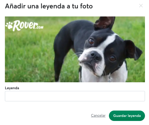 Photo_add_caption_ES.png