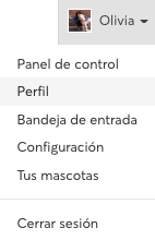 Drop_down_profile_O_ES.png