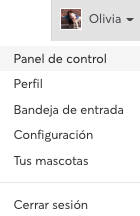 Drop_down_dashboard_O_ES.png